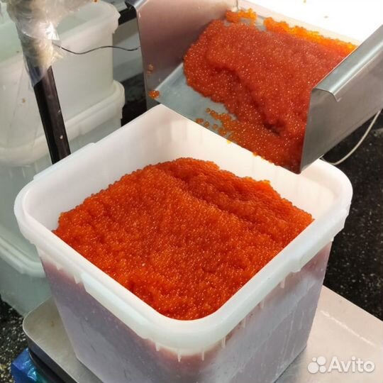 Икра красная оптом
