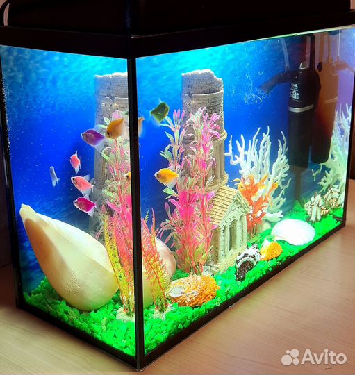 Аквариум с рыбками