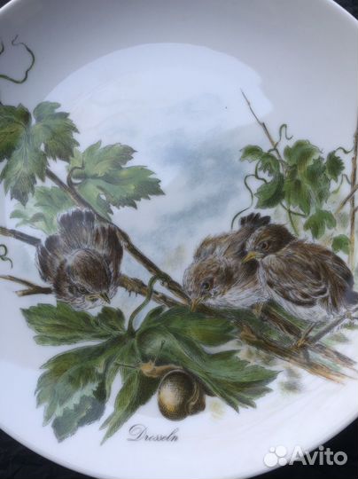 Настенная тарелка Германия