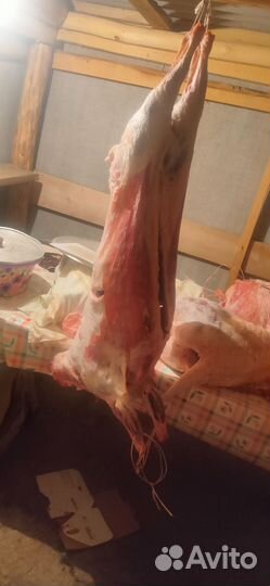Мясо баранины