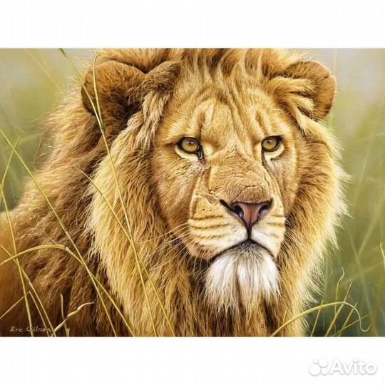 Алмазная мозаика