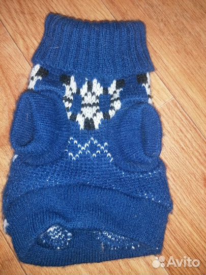 Светер для питомца
