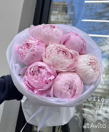 Пионы букет из пионов Цветы Доставка