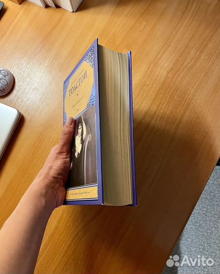 Анна Каренина Л.Н. Толстой