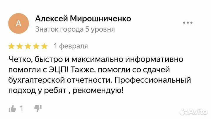 Отчетность ип, ооо/ Бухгалтерский учет