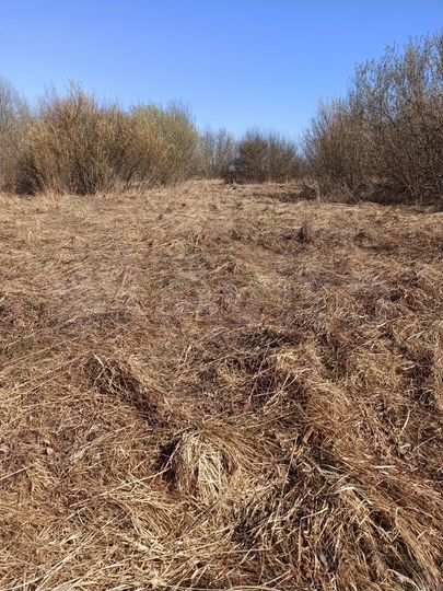 Участок 15 сот. (ИЖС)