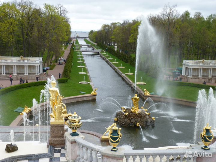 Relax-тур в Saint-Petersburg от 7 дней