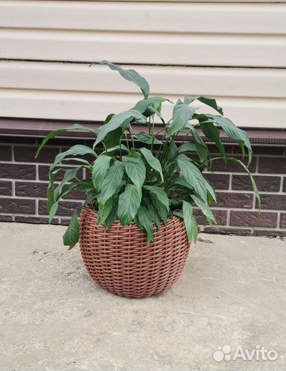 Кашпо для цветов 12 л