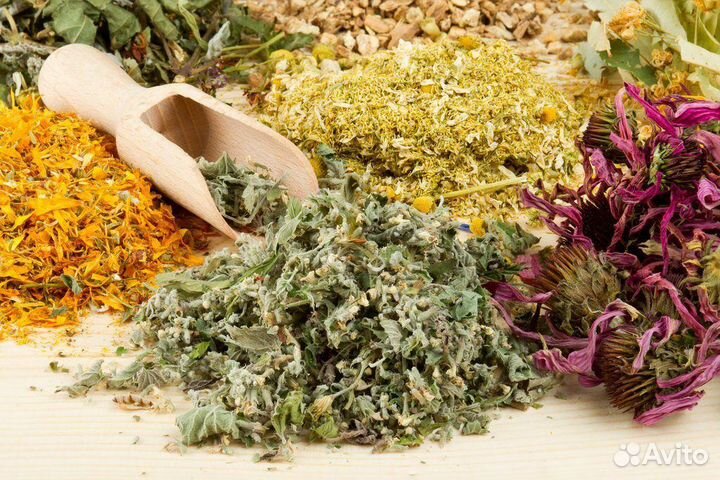 Сбор трав для кишечника (при колитах)