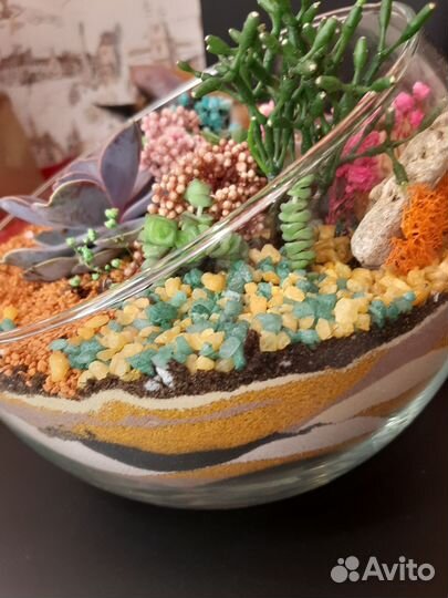 Флорариум. Оригинальный подарок