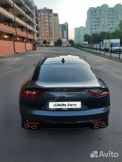 Kia Stinger 2.0 AT, 2019, 56 000 км