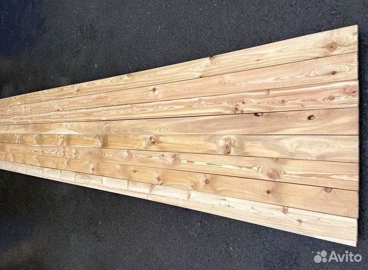 Планкен болшьшой выбор