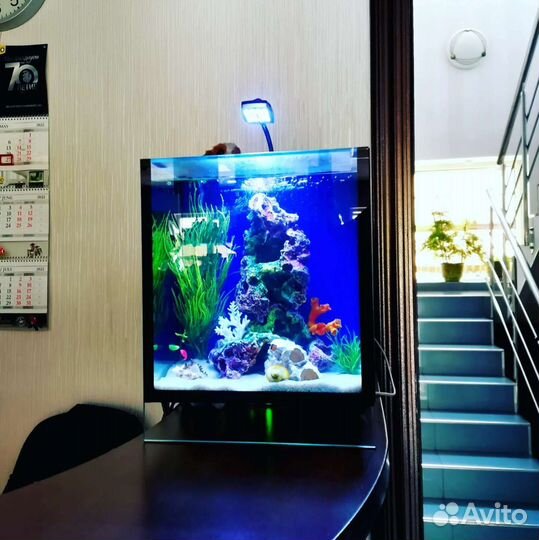 Аквариум и декор