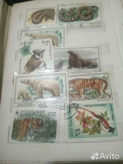 Почтовые марки СССР