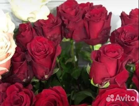 Цветы Красивые розы в любом количестве Пермь
