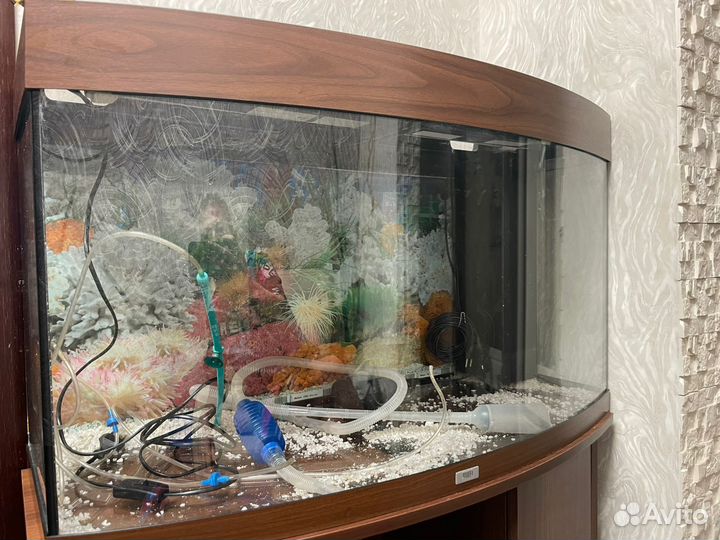 Аквариум Juwel Vision 180