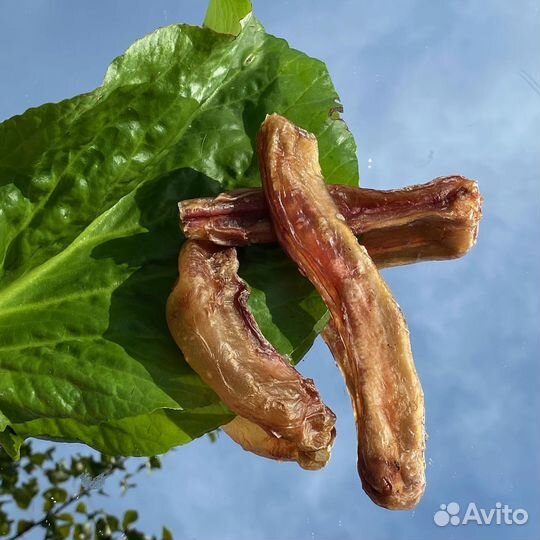 Лакомства для собачек