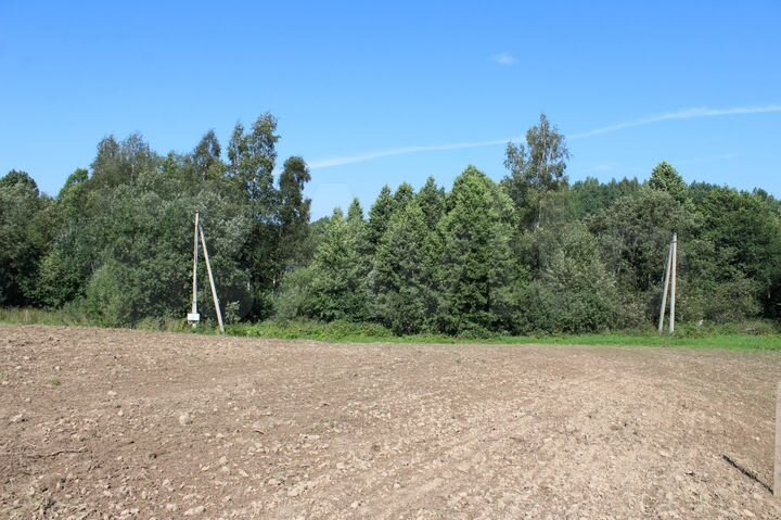 Участок 50 сот. (ИЖС)