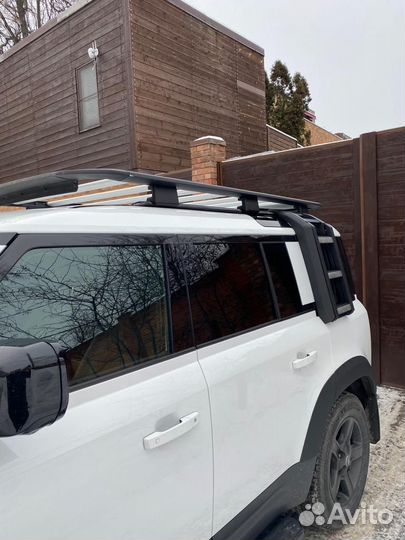 Лестница + багажник Defender