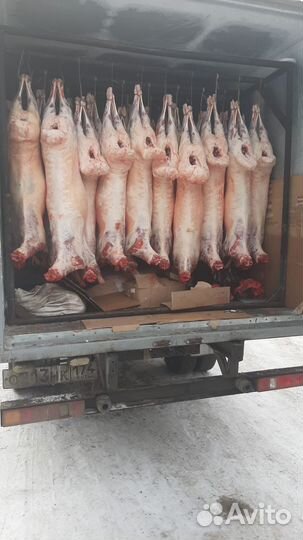 Мясо говядина,баранина