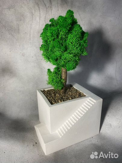 Кашпо топиарий декор суккуленты мини сад