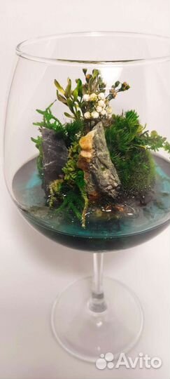 Моссариум флорариум