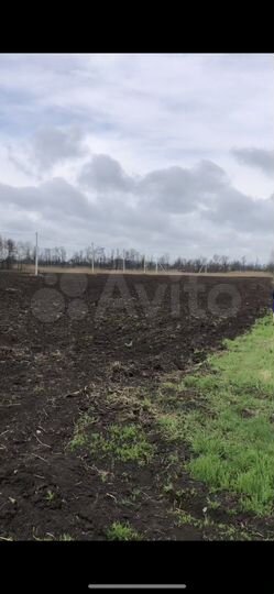 Участок 38 сот. (ИЖС)