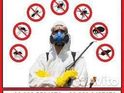 Дезинфекция, Дезинсекция, Дератизация