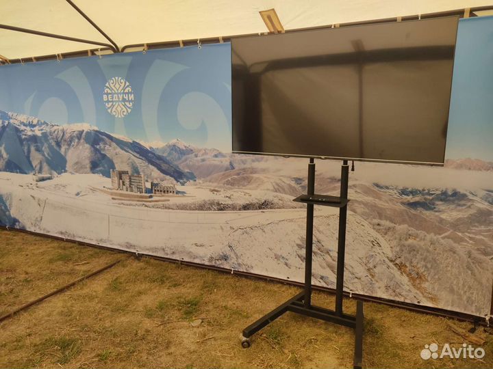 Аренда тв телевизоров