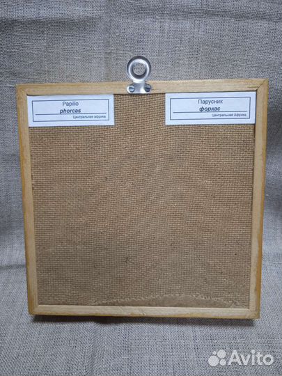 Бабочки в рамках