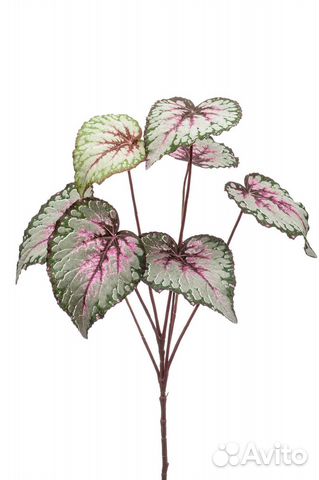 Бегония куст крупнолистная искусственная зелено-ро купить в Москве ...