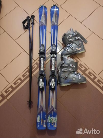 Горные лыжи