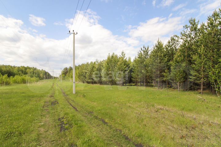 Участок 20 сот. (СНТ, ДНП)