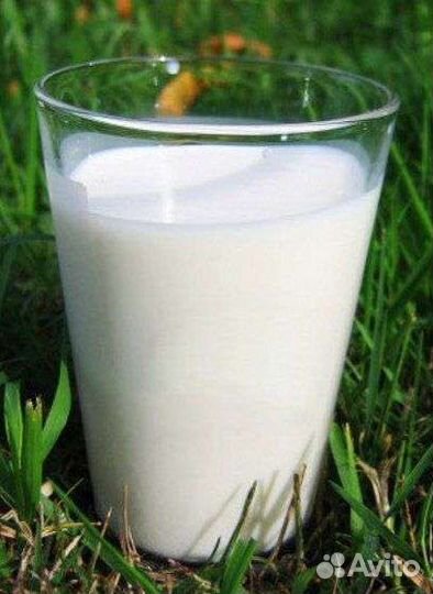 Молочная продукция