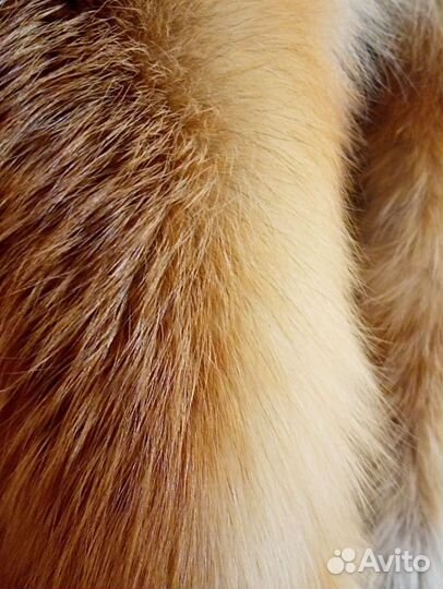 Лисий воротник