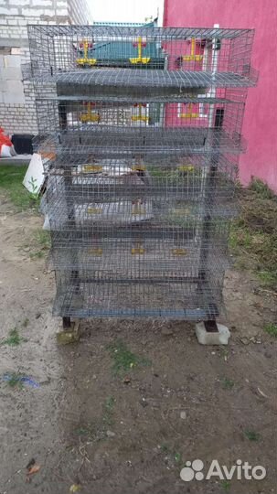 Клетка для перепелок