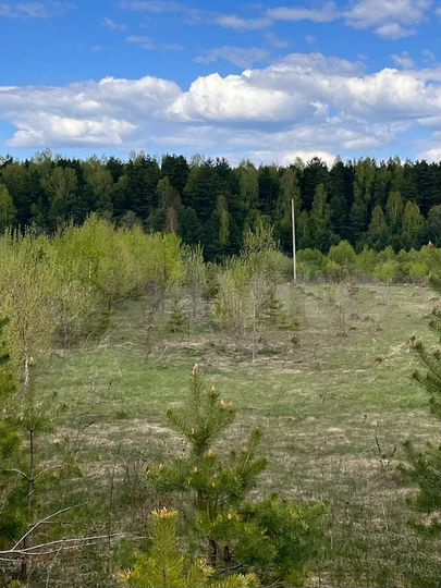 Участок 40,4 сот. (ИЖС)