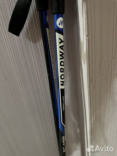 Лыжные палки