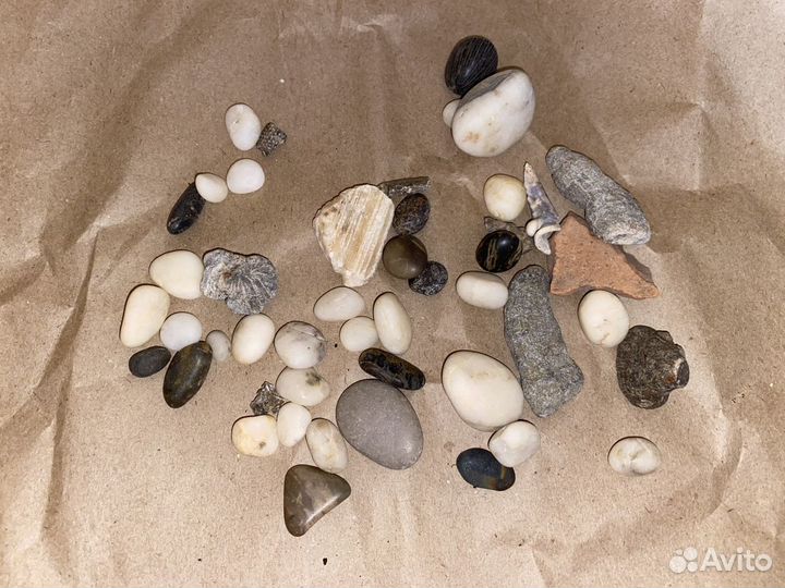 Ракушки и камешки для поделок