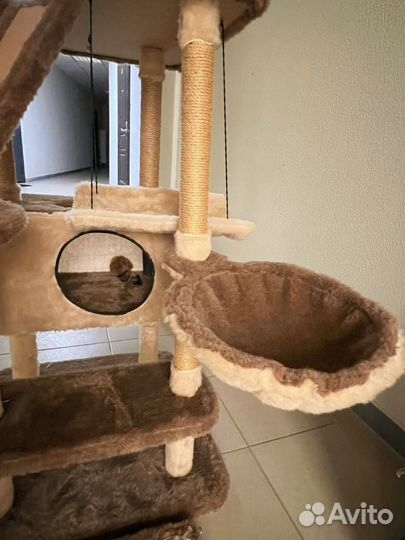Когтеточка домик для кошки