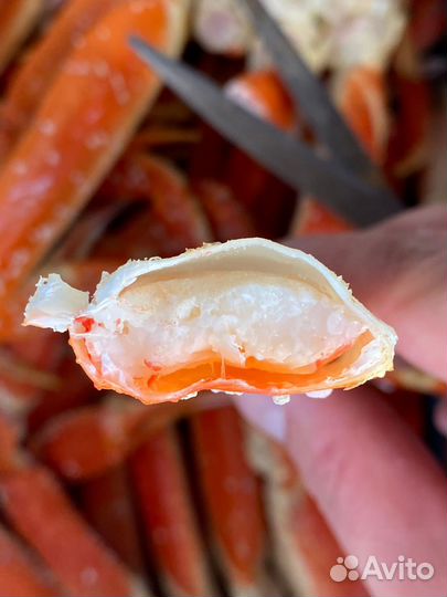 Клешни краба Стригуна свежак