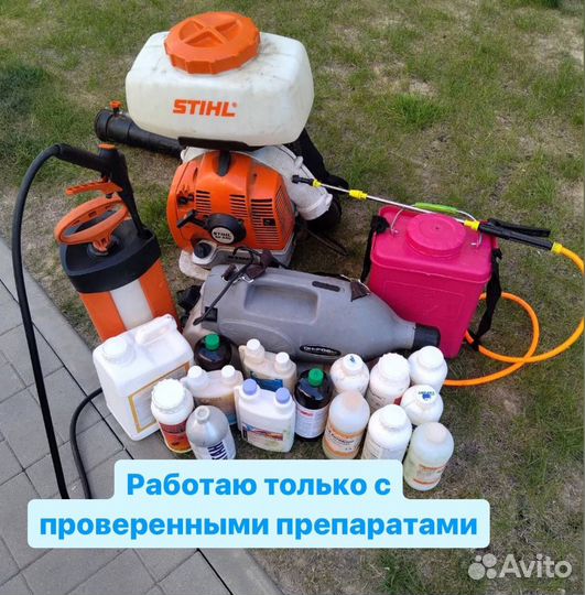 Клопы, тараканы, муравьи, клещи, комары, блохи