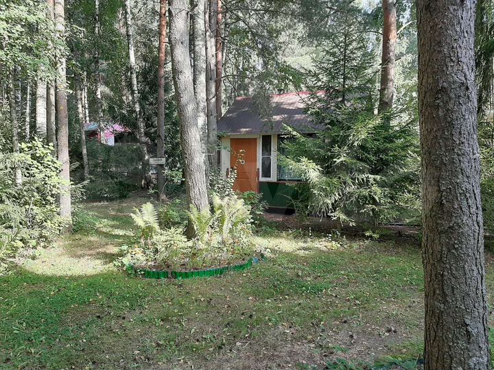 Дом 160,3 м² на участке 11,7 сот.