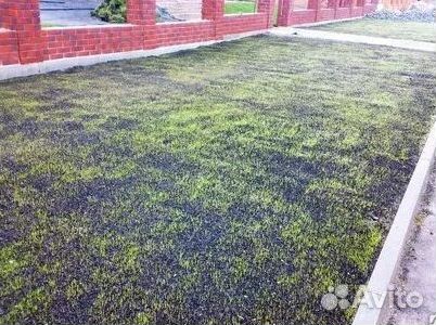 Гидропосев