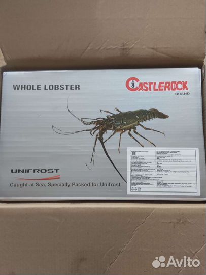 Лангуст Королевский (свежемороженный)