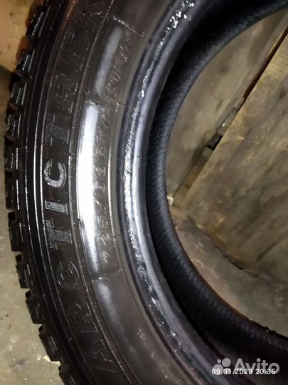 Maxxis ArcticTrekker NS3 225/60 R17 103T