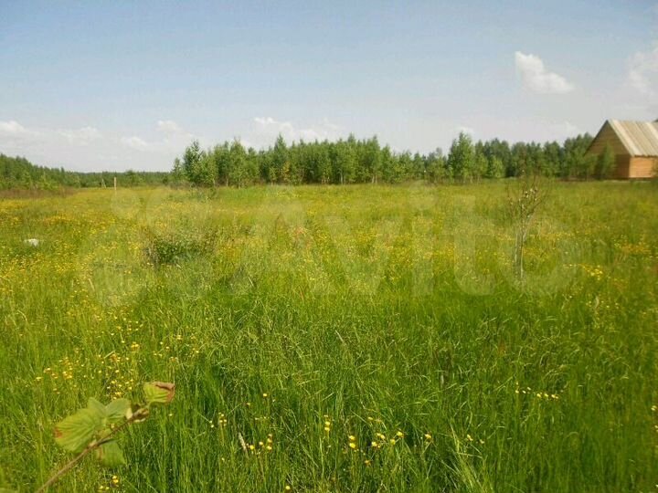 Участок 10 сот. (ИЖС)