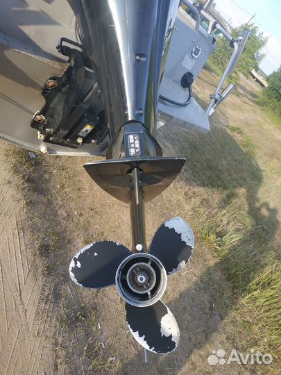 Катер Беркут