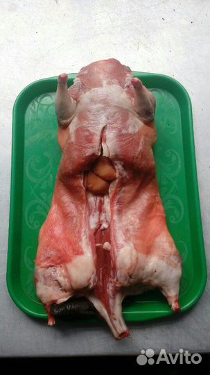 Мясо нутрии