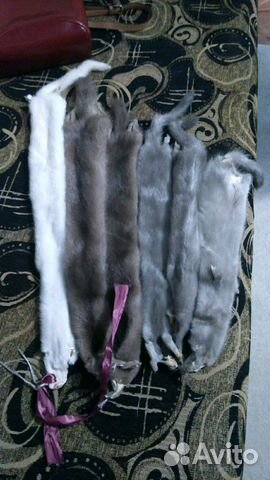 Шкурка животного